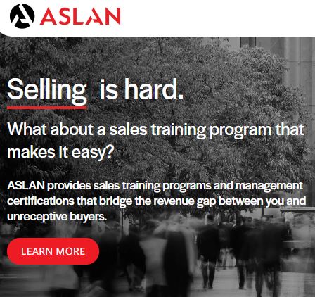 ASLAN Training and Development